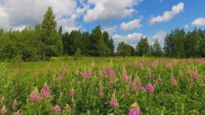 МАРИЙСКИЙ КРАЙ