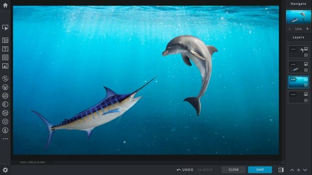 Blue Marlin vs Bottlenose Dolphin смотреть онлайн