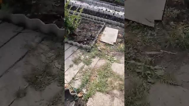 лопата финлянд смотреть онлайн