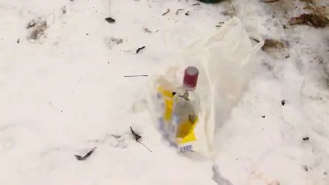 ТРЭКОЛ в парках Москвы! смотреть онлайн