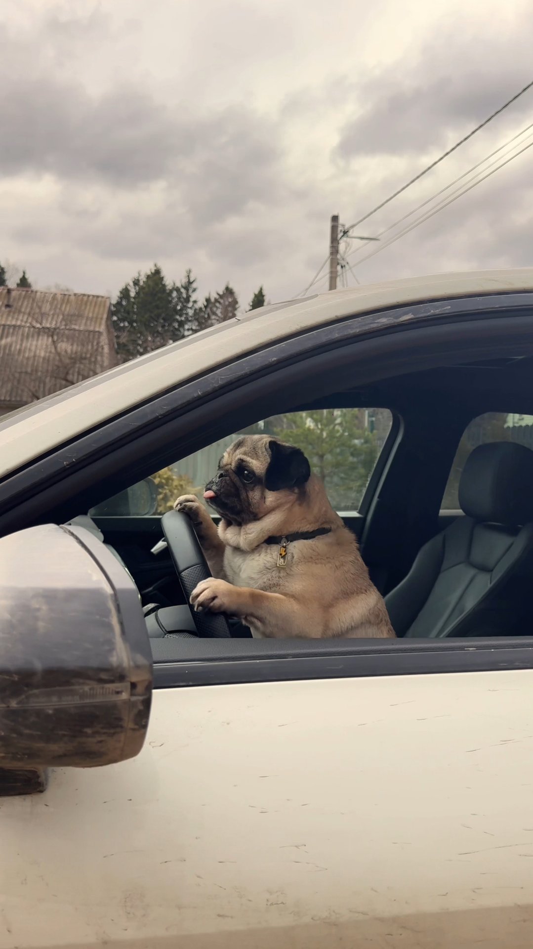 ДЖОНИ РАЗБИЛ МАШИНУ РАДИ РОЛИКА 😱 смотреть онлайн