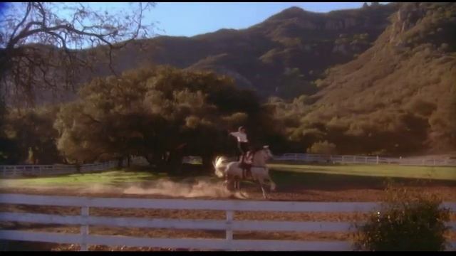 "Hot Shots!" (1991) - Dream Lover смотреть онлайн