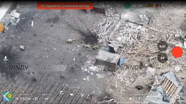 Кадры сдачи в плен украинских военнослужащих смотреть онлайн