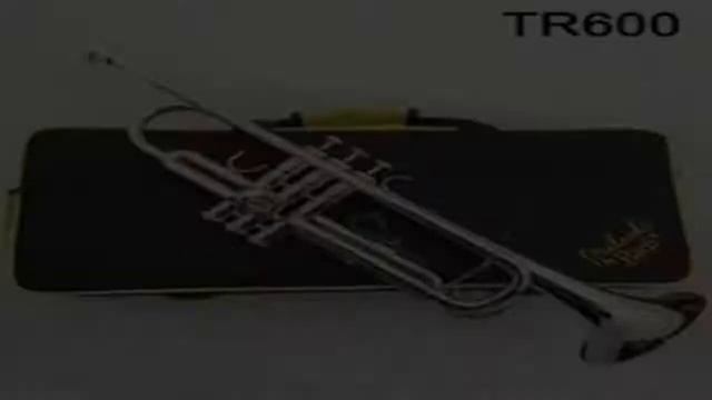 купить корнет на алиэкспресс смотреть онлайн