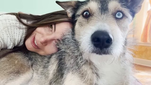 Introducing, Him.♥️ смотреть онлайн