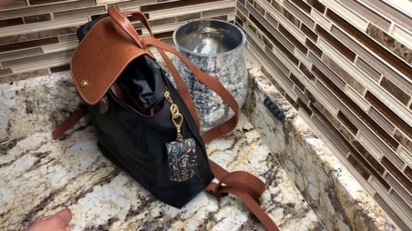 LONGCHAMP LE PLIAGE ORIGINAL BACKPACK | BAG ORGANIZER