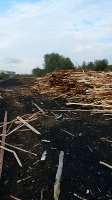 Горбыль на лесозаводе/ www.serovglobus.ru смотреть онлайн