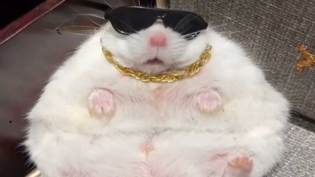 ухо было же красное. смотреть онлайн