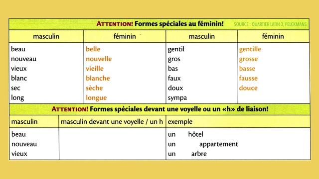 Masculin, féminin, singulier, pluriel - Grammaire française смотреть онлайн