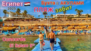 ХАОС на ПЛЯЖЕ отеля Concorde El Salam 5*. ЖИВОЙ риф. ТОЛПЫ туристов. Шарм эль Шейх Египет 2025
