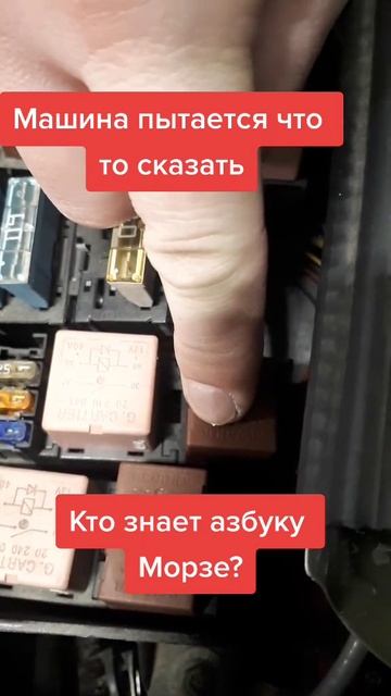Кто знает азбуку Морзе? смотреть онлайн