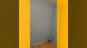 Покраска ПИКовских обоев