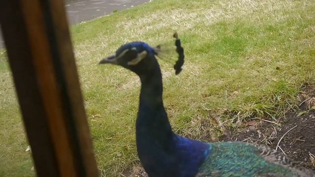 Kimono photoshoot | vlog смотреть онлайн