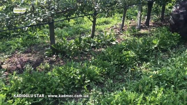 Культиватор STAR в саду