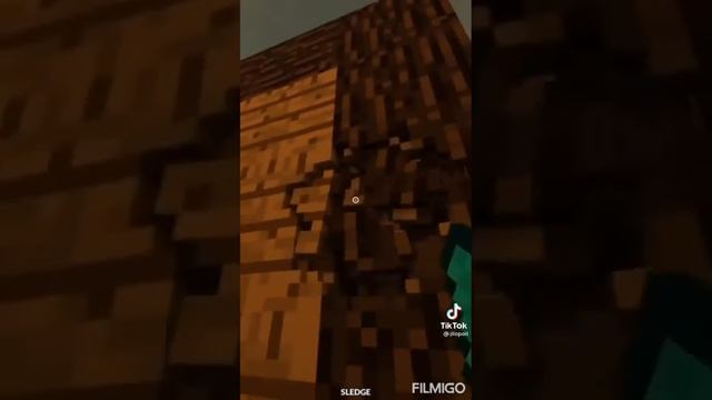 тик ток заходи смотреть онлайн