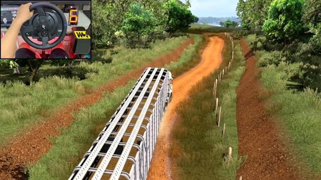 Transport live animals through the muddy forest road / Euro Truck Simulator 2 / Thrustmaster T300RS смотреть онлайн