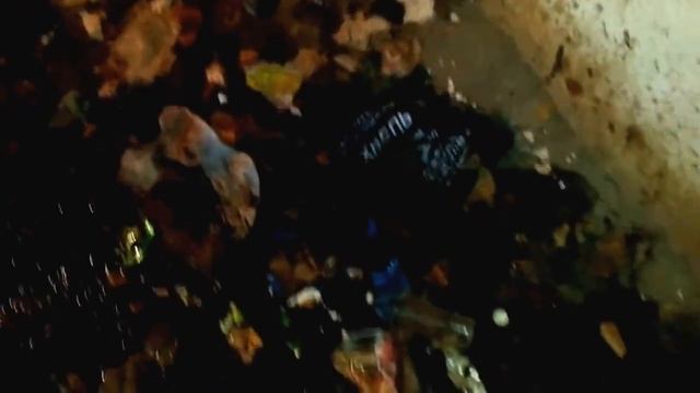 Туалеты -лицо города Ельца смотреть онлайн