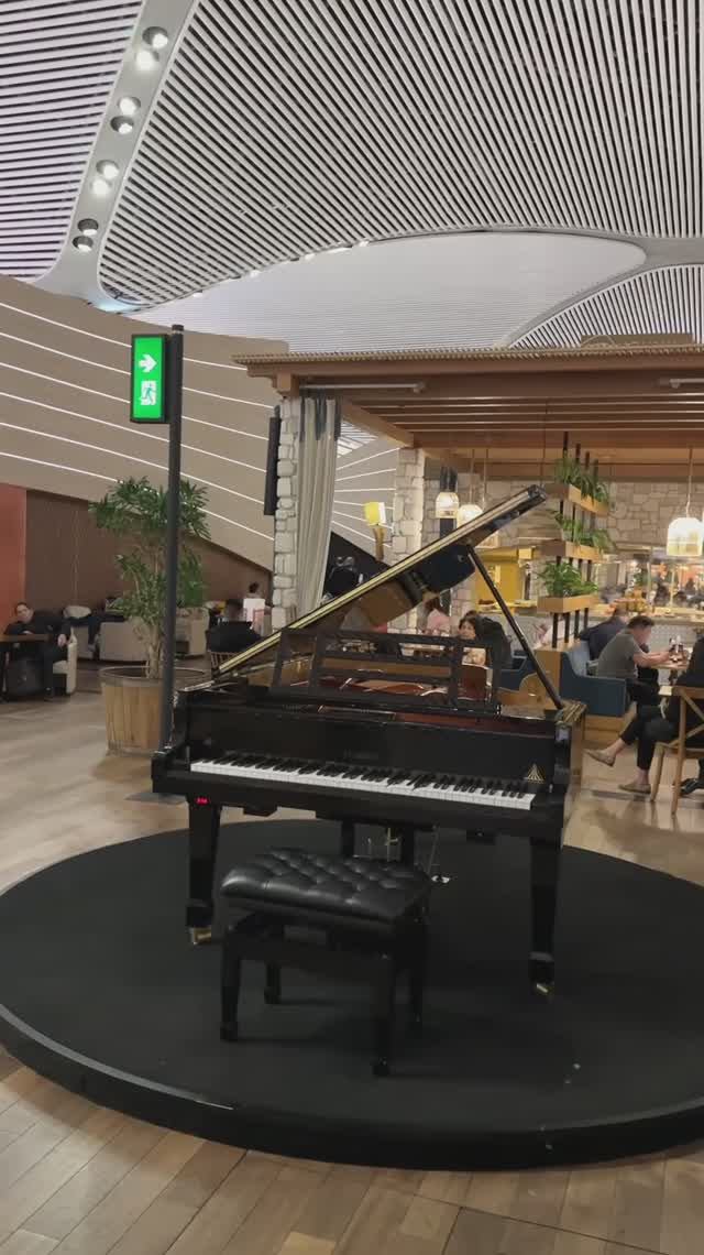 Как выглядит огромный бизнес-зал Turkish Airlines в аэропорту Стамбула смотреть онлайн