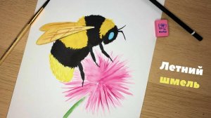 Яркий шмель в цветах: урок рисования для детей