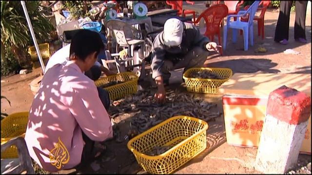 Vietnam farmers benefit from rising sea levels смотреть онлайн