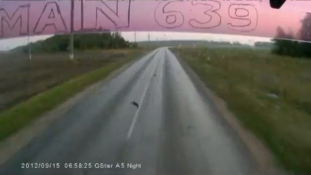 Идиот на встречке 00_00_25-00_01_02.mp4 смотреть онлайн