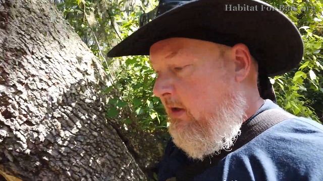 FAQ Will Smoke make my bats leave? Will it bother them? смотреть онлайн