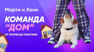 КОМАНДА ДОМ ДЛЯ СОБАКИ / РАЗНООБРАЗИЕ КОМАНДЫ / ДРЕССИРОВКА СОБАКИ С НУЛЯ / ТЕОРИЯ И ПРАКТИКА