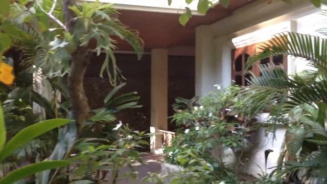 Bali смотреть онлайн