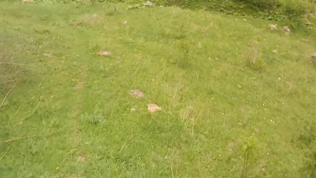 Шадни Цизгари Эндуро Дагестан смотреть онлайн