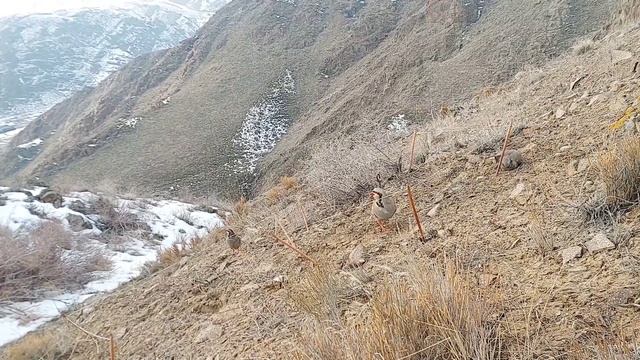 16 марта 2023 г. смотреть онлайн