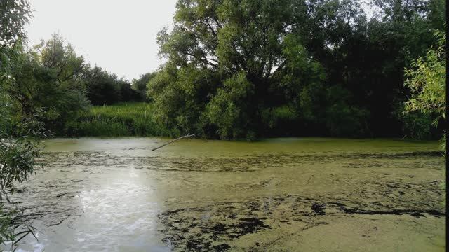 Полонез - Огинского