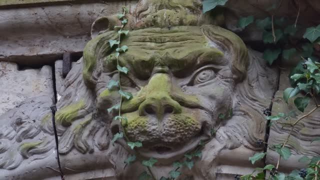 Польша, 2025: Гданьск и Мальборк