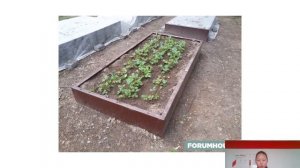 Умный огород