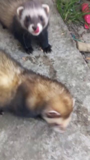 13 August 2023 смотреть онлайн