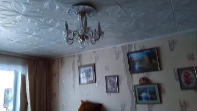 Алкаши затопили пенсионров смотреть онлайн