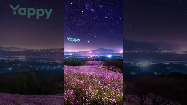 Взаимоподписка смотреть онлайн