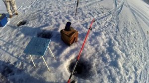 Новый сериал. Зимняя рыбалка на омуля 10.03.2025. Фильм 5. Клёв продолжается. Продолжение следует..