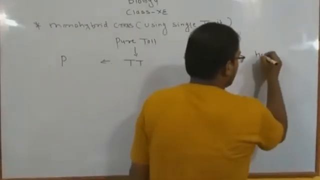 Biology Class смотреть онлайн