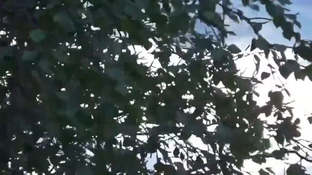 Футаж легкий ветер смотреть онлайн
