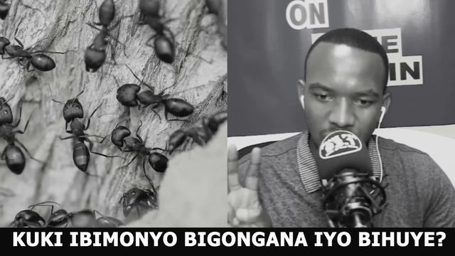 KUKI IBIMONYO BISOMANA IYO BIHUYE? SOBANUKIRWA смотреть онлайн