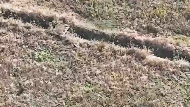 UKRAINE - RUSSIA - Ukrainian Trenches