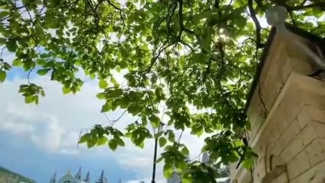 Цветник. Пятигорск смотреть онлайн