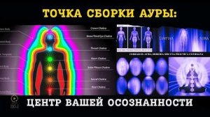 Невидимая Сила, Формирующая Вашу Жизнь: Энергетическая Анатомия