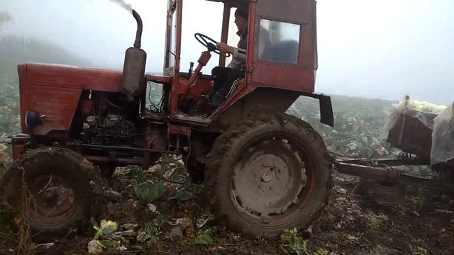 Трактор Т-25 против прицепа с грузом на 1,5т. Т-25 буксует на подъеме. смотреть онлайн