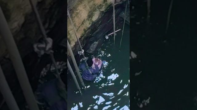 A Cat fell and stuck in the Deep well Since Two days смотреть онлайн