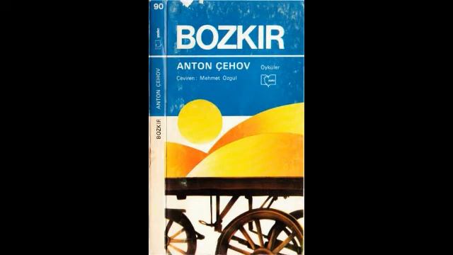 BOZKIR sesli kitap 3 (67 101 syf) смотреть онлайн