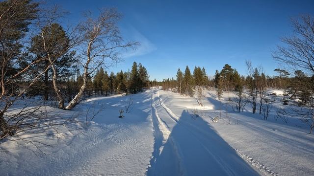 Домой едем смотреть онлайн