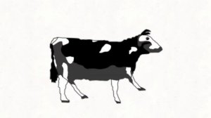 Польская корова анимация | polish cow animation