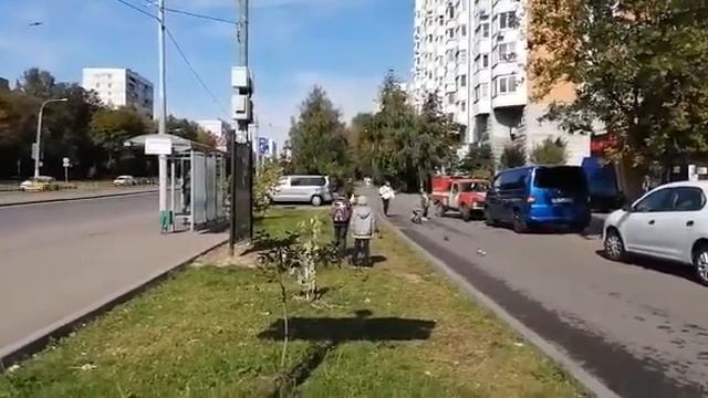 Кормим голубей