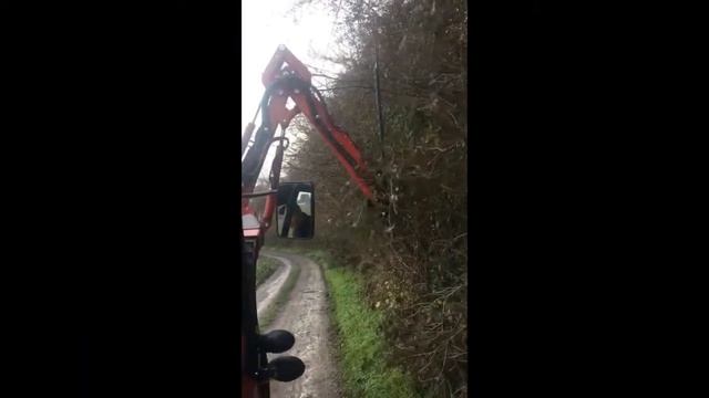 Gianni Ferrari Haagschaar 150 cm смотреть онлайн